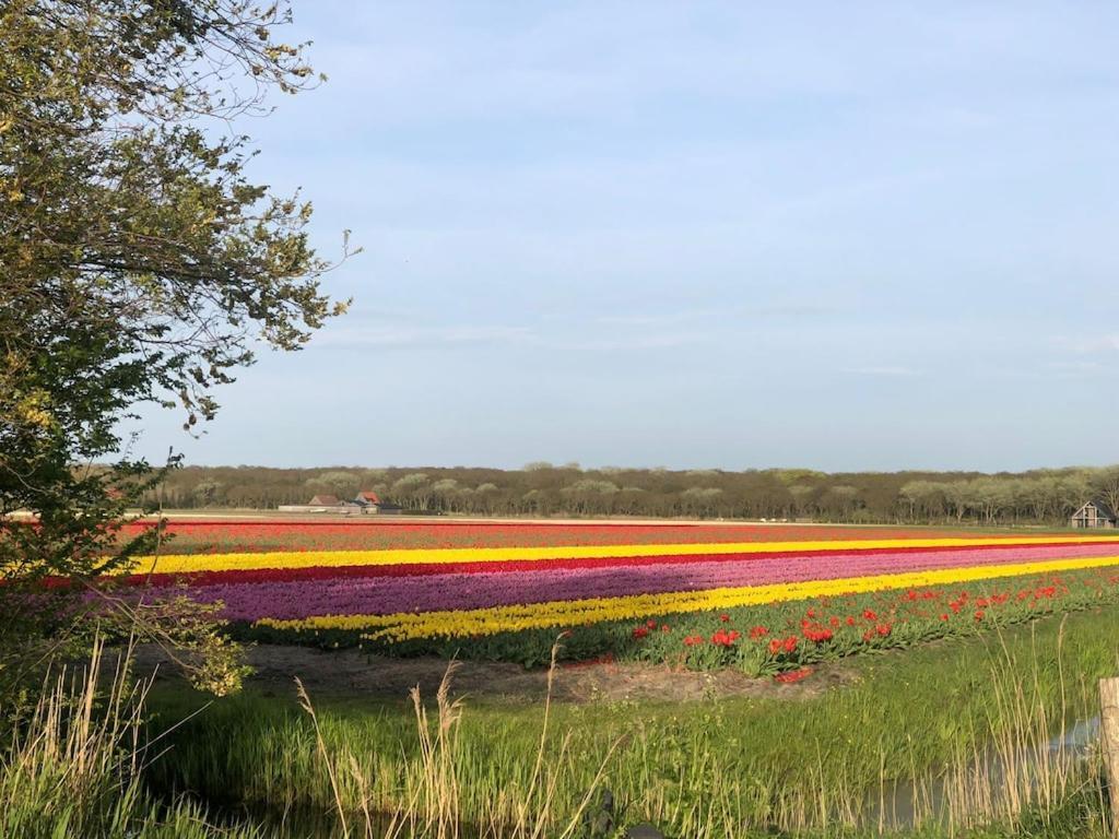 Вилла Meno Mosso Sint Maartensvlotbrug Экстерьер фото